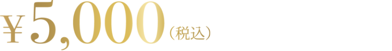 5000円（税込）