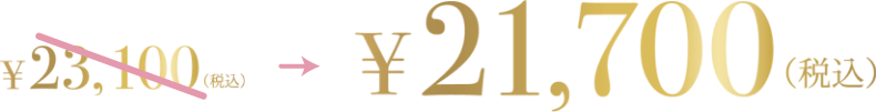 21700円（税込）