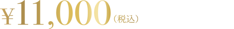 11000円（税込）