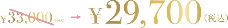 29700円（税込）
