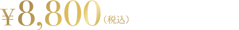 8800円（税込）
