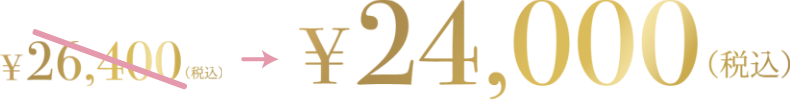 24000円（税込）