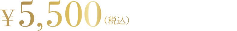 5500円（税込）