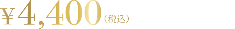 4400円（税込）