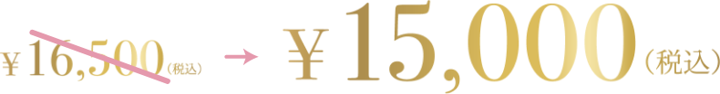 15000円（税込）