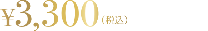 3300円（税込）