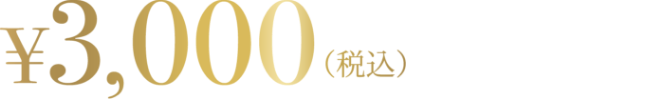 3000円（税込）